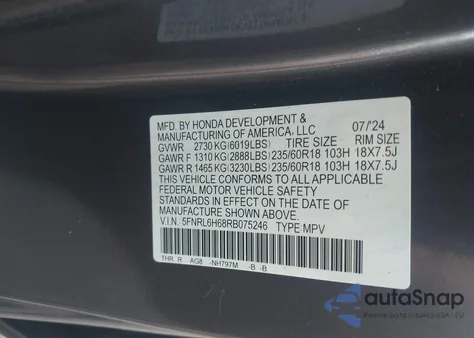 2024 Honda Odyssey Ex-L z USA, uszkodzony, nr VIN 5FNRL6H68RB075246